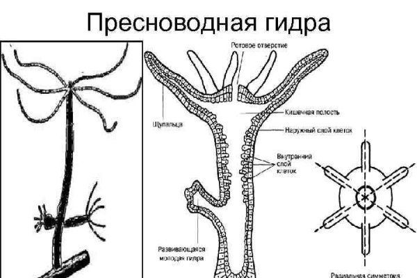 Не работает сайт kraken