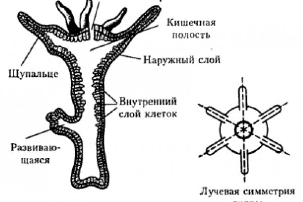 Кракен кз