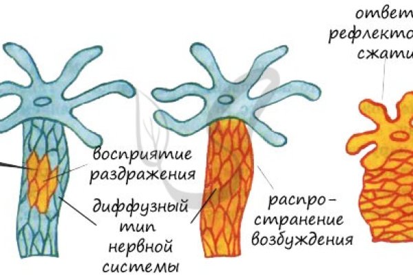 Kraken зеркало krakens13 at